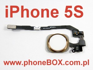 Naprawa, wymiana niedziałającego przycisku HOME w iPhone 5S biało-złoty